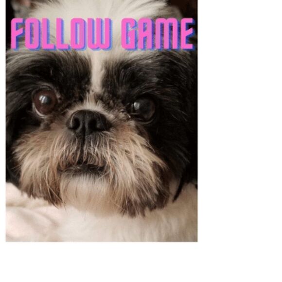 ***My First Follow Game!*** - Picture 1 of 1